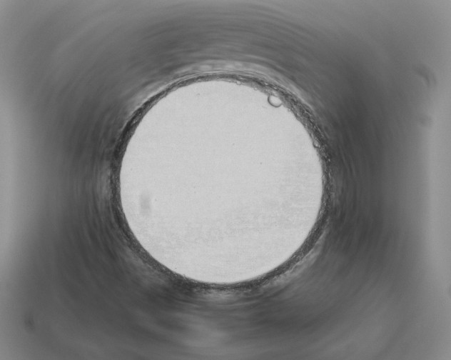 X0000112871497200910021321