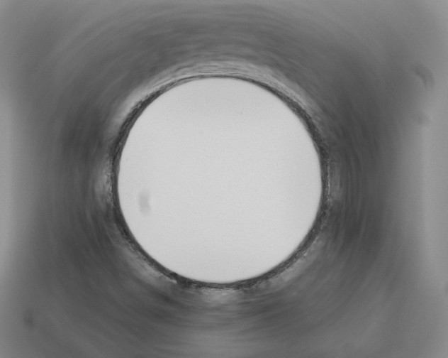 X0000112871498200910021321