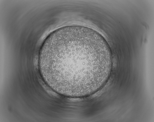 X0000112871499200910021322