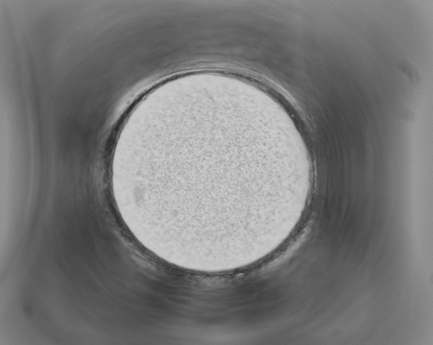 X0000112871501200910021322