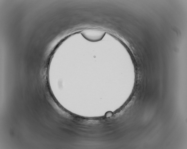 X0000112871503200910021322