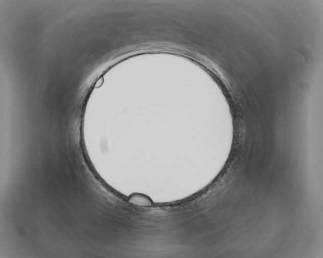 X0000112871504200910021322