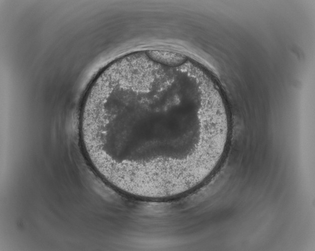 X0000112871506200910021322