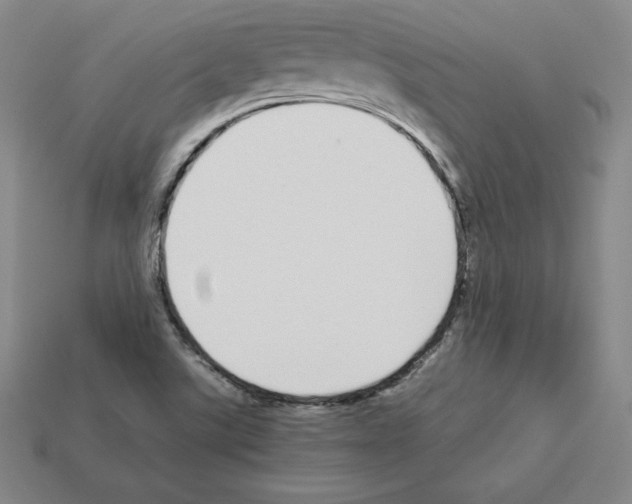 X0000112871507200910021322