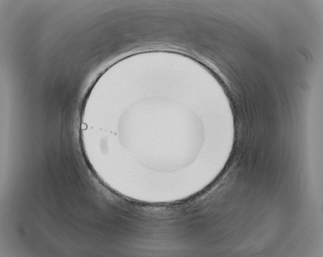 X0000112871508200910021322