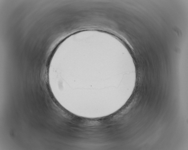 X0000112871509200910021322