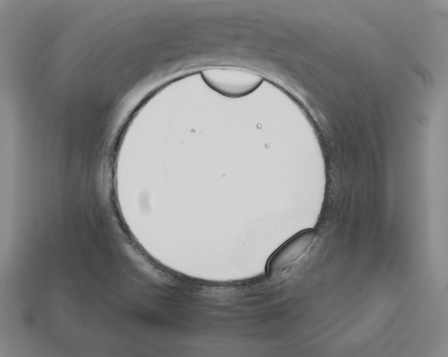 X0000112871511200910021322