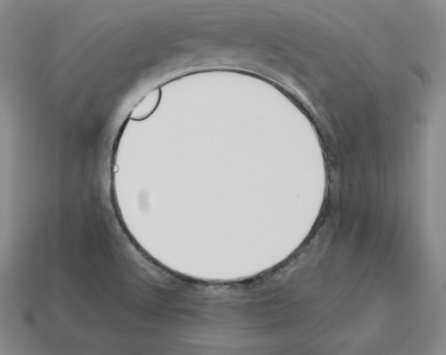 X0000112871512200910021322