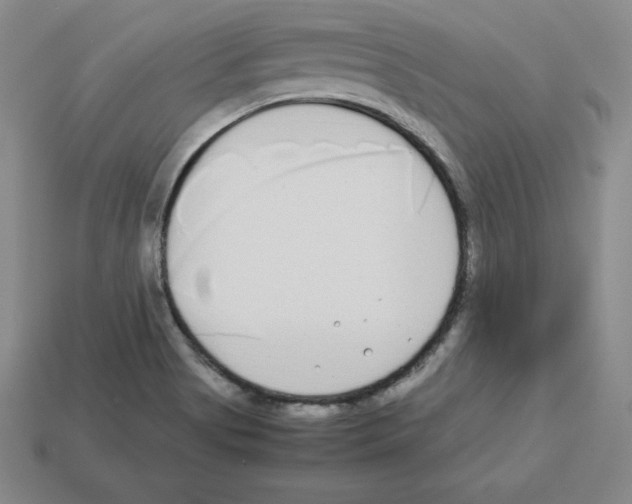 X0000112871513200910021322