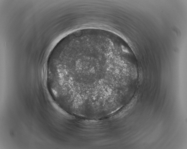 X0000112871515200910021322