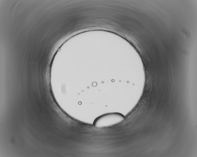 X0000112871516200910021322