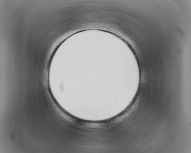 X0000112871517200910021322