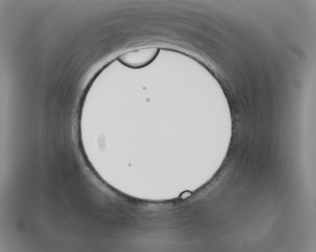 X0000112871518200910021322