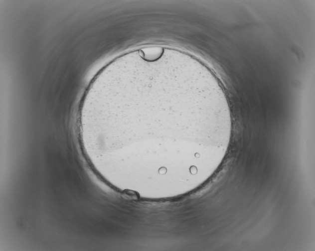 X0000112871519200910021322