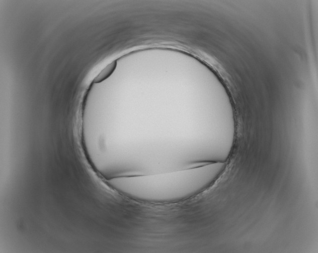 X0000112871520200910021322