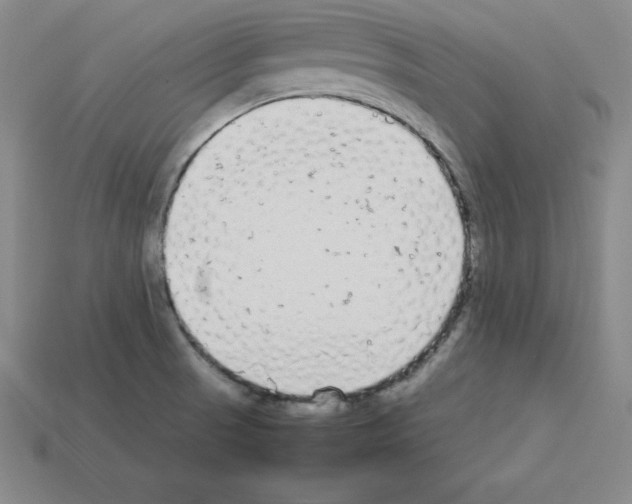 X0000112871521200910021322