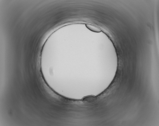 X0000112871524200910021322