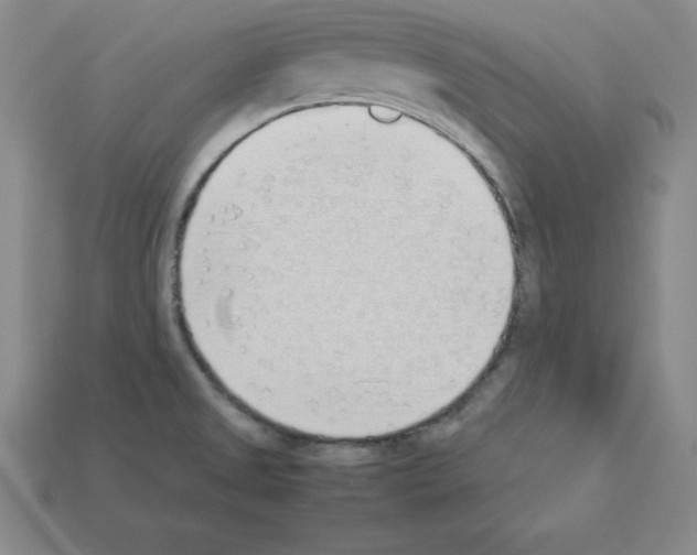 X0000112871525200910021322