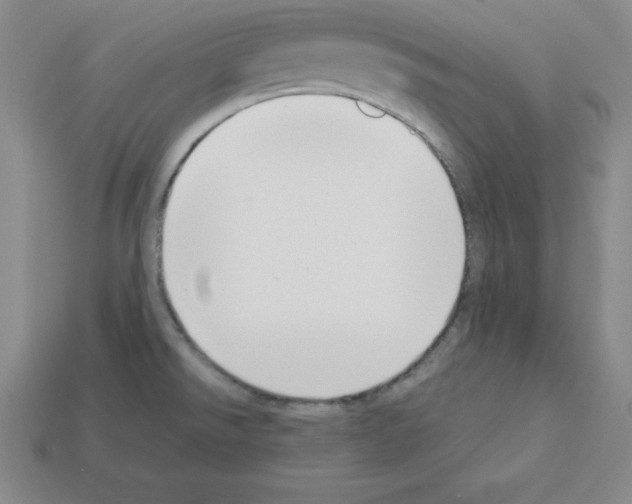 X0000112871526200910021322