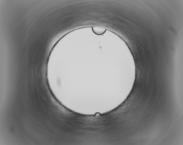 X0000112871527200910021322