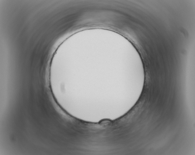 X0000112871528200910021322