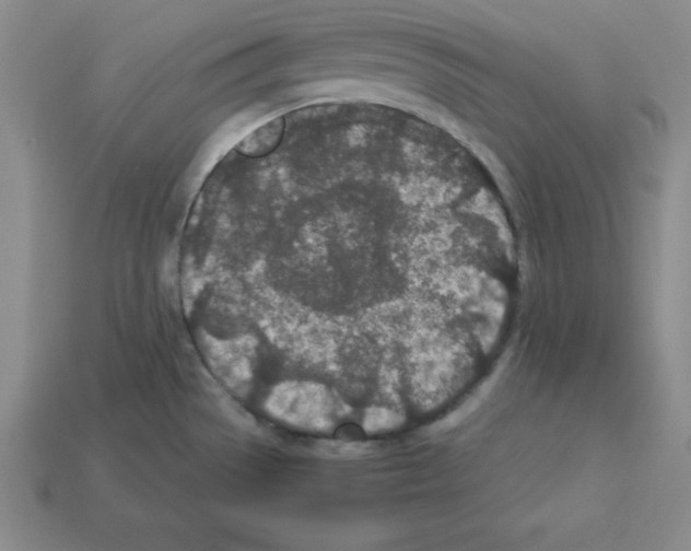 X0000112871529200910021322