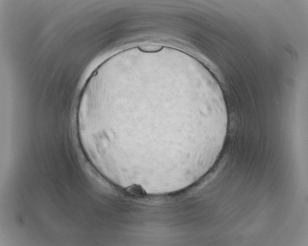 X0000112871530200910021322