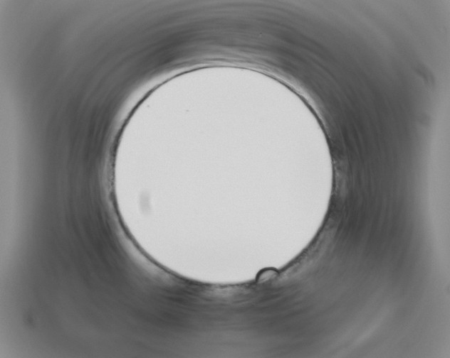 X0000112871531200910021322