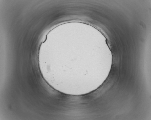 X0000112871532200910021322