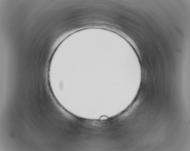 X0000112871533200910021322