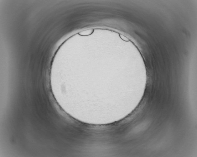 X0000112871534200910021322