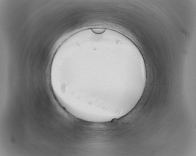 X0000112871536200910021322