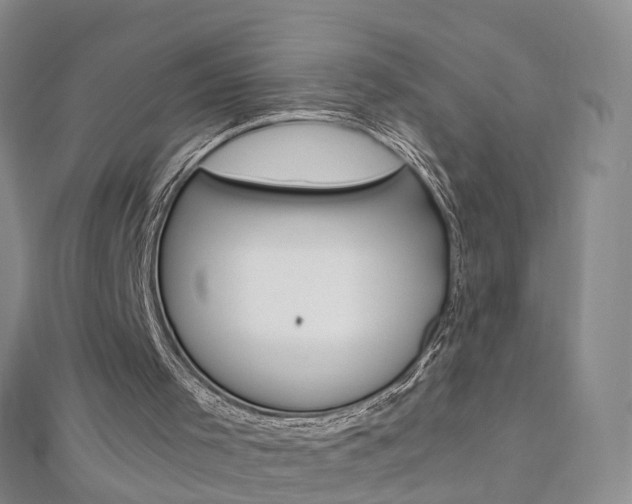 X0000112880001200908211102