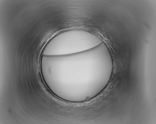 X0000112880002200908211102