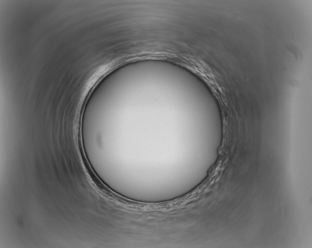 X0000112880003200908211102