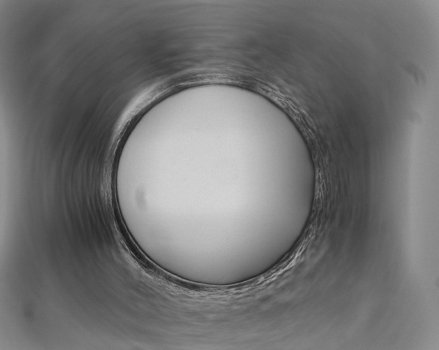 X0000112880004200908211102