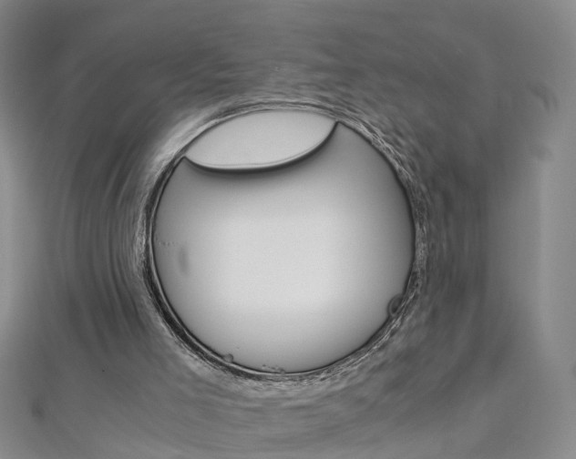 X0000112880005200908211102