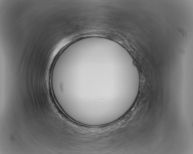 X0000112880006200908211102