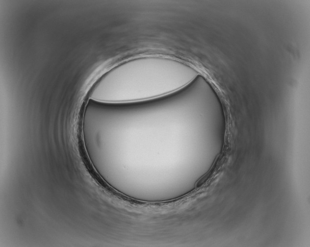 X0000112880007200908211102