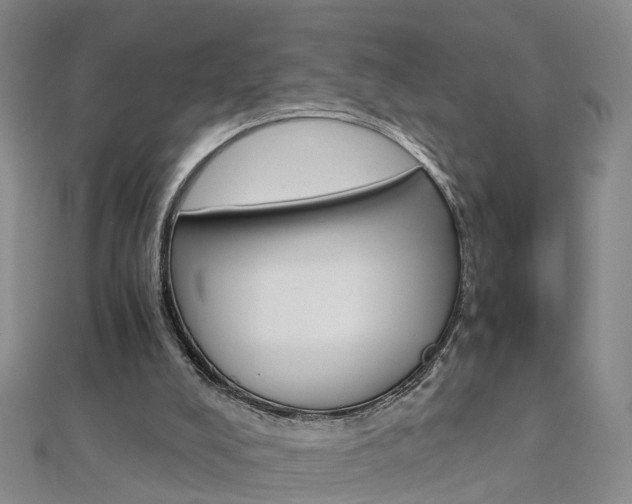 X0000112880008200908211102