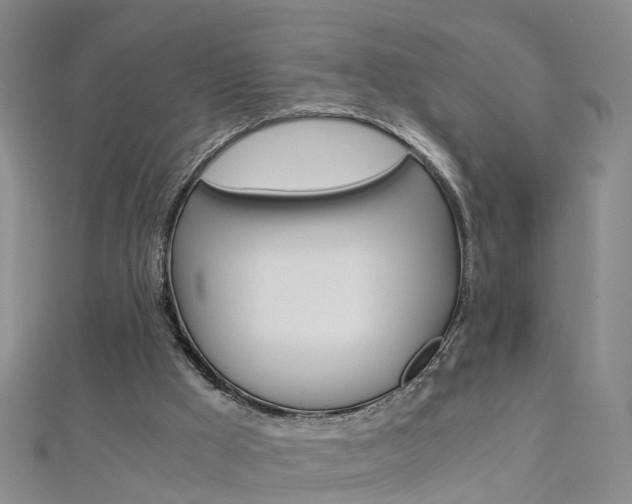 X0000112880009200908211102