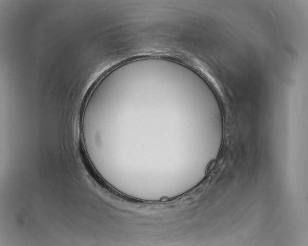 X0000112880011200908211102