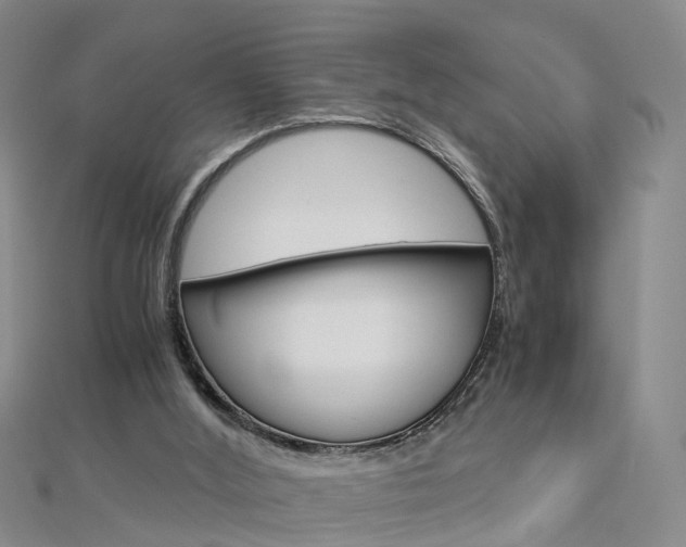 X0000112880012200908211102