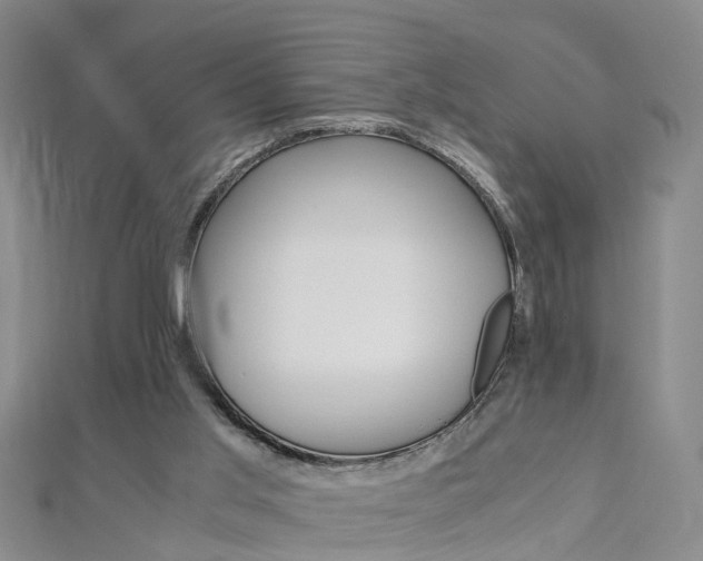 X0000112880013200908211102