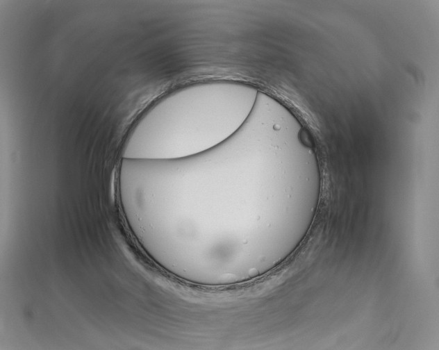 X0000112880014200908211102