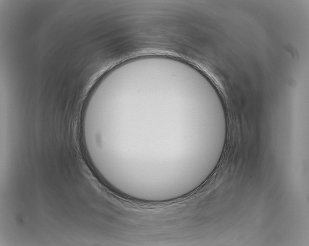 X0000112880015200908211102