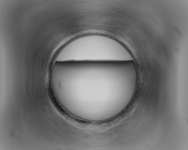 X0000112880016200908211102