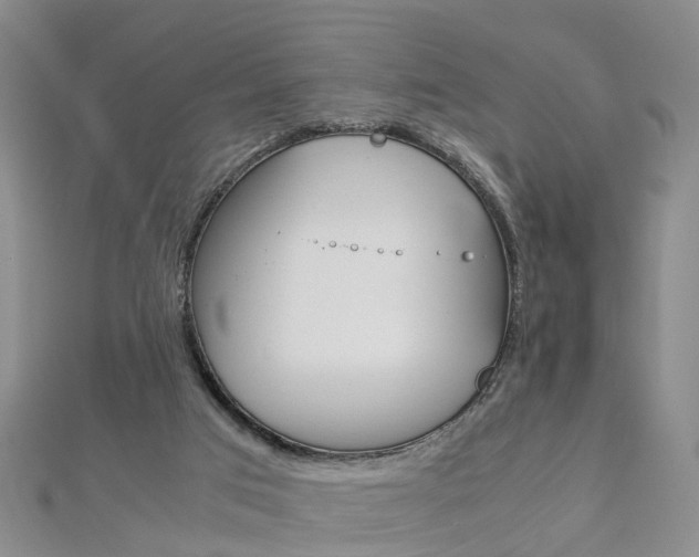 X0000112880017200908211102