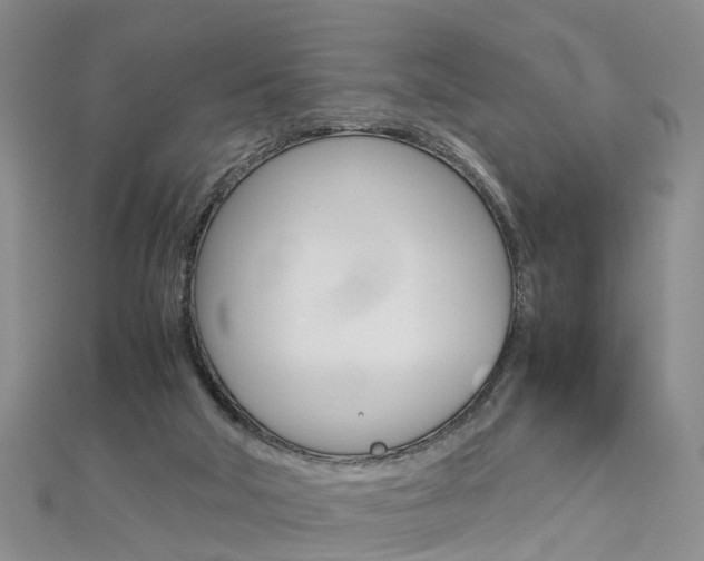 X0000112880018200908211102