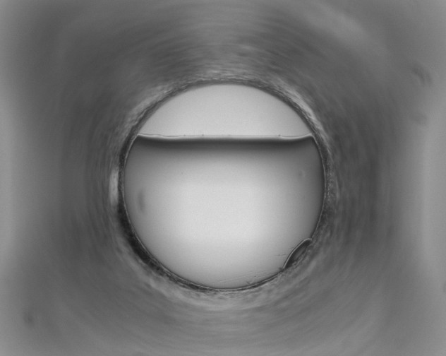 X0000112880019200908211101